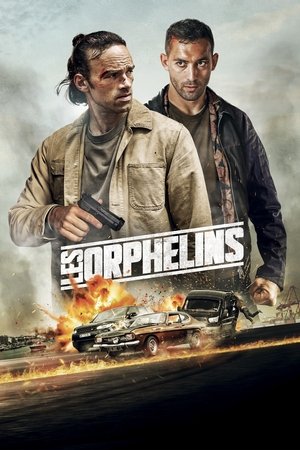 Les Orphelins (2025) Hindi (MULTI AUDIO) – – 1080p