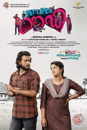 Rowdy 2019 Hindi Dubbed [770MB]